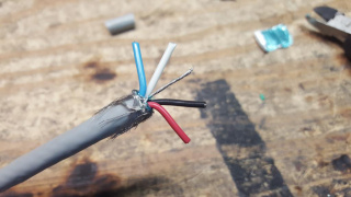 TK-n6n Devicenet wires separated.jpg