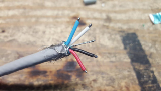 TK-n6n Devicenet wires stripped tinned.jpg